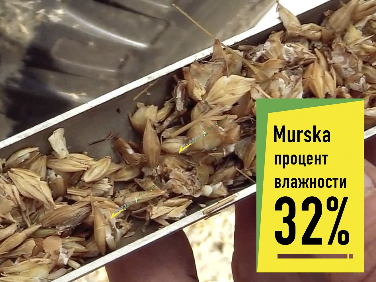 Высокопроизводительная вальцовая мельница Murska 4000 с ленточным транспортером для быстрого производства корма