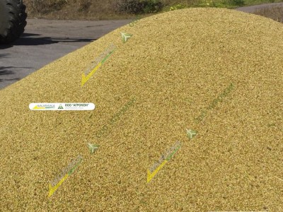 Murska W-Max 20 С дисковая мельница