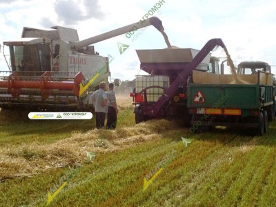 Дисковая плющилка Murska W-Max 15 С с элеватором для производство корма