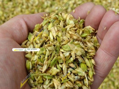 Murska W-Max 10F дисковая мельница с элеватором 